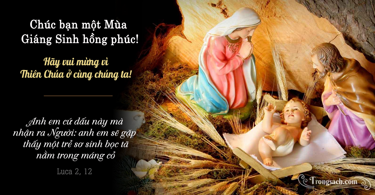 Tình yêu Thiên Chúa bao la như đại dương