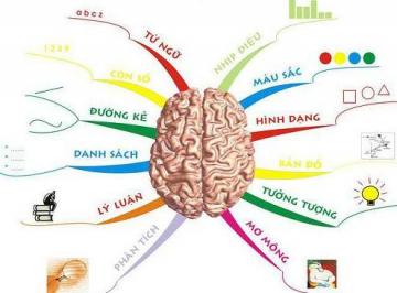PHƯƠNG PHÁP ĐỘNG NÃO