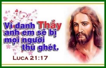 Chúa nhật 33 thường niên năm C - Lễ Các Thánh Tử Đạo Việt Nam