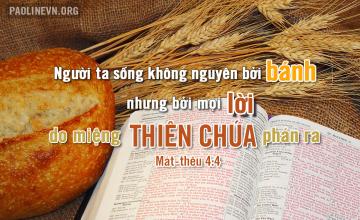 05/03/2017 Chúa Nhật Tuần I Mùa Chay Năm A