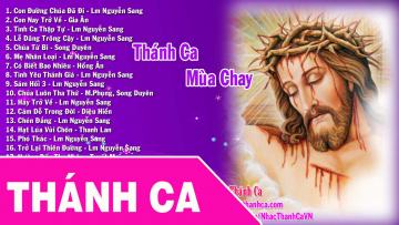 bai hat ve mua chay