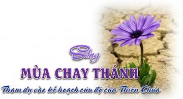 40 Thứ Có Thể Từ Bỏ Để Sống Mùa Chay Và Suốt Cả Đời