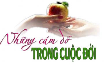 MƯỜI PHƯƠNG CÁCH ĐỂ CHỐNG LẠI CÁM DỖ