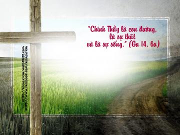 14/05/2017 Chúa Nhật Tuần V Mùa Phục Sinh Năm A