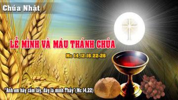 18/06/2017 Chúa Nhật Mùa Thường Niên Năm A - Mình Máu Chúa