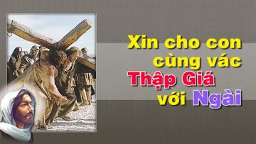 TƯ TƯỞNG LOÀI NGƯỜI  (CN XXII TN/A)
