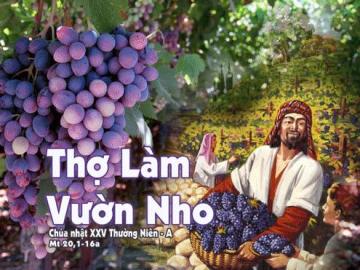 24/09/2017 Chúa Nhật Tuần XXV Mùa Thường Niên Năm A
