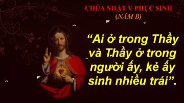 29/04/2018 Chúa Nhật Tuần V Mùa Phục Sinh Năm B