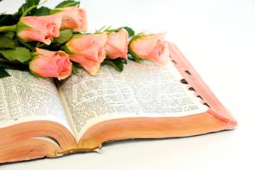 20/10/2019 Chúa Nhật Tuần XXIX Mùa Thường Niên Năm C