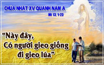 12/07/2020 Chúa Nhật Tuần XV Mùa Thường Niên Năm A