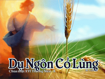19/07/2020 Chúa Nhật Tuần XVI Mùa Thường Niên Năm A